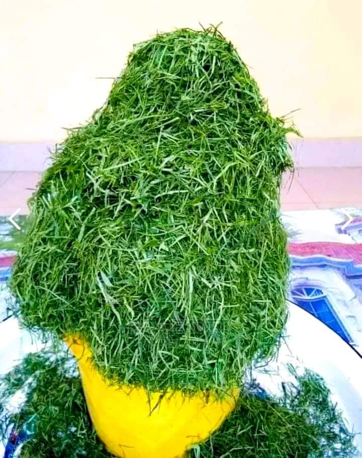 Dried Ukazi Afang Leaves